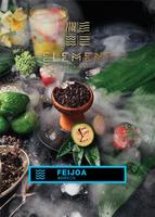 Табак ELEMENT 100 г Вода Feijoa (Фейхоа)