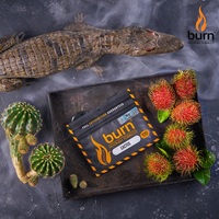 Табак BURN 100 г Cactus (Кактус)