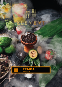 Купить Табак ELEMENT 100 г Земля Feijoa (Фейхоа)