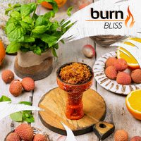 Табак BURN 200 г Bliss (Личи с Мятой)