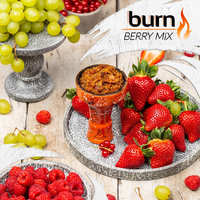 Табак BURN 100 г Berry Mix (Ягодный Микс)